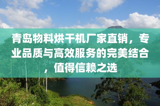 青岛物料烘干机厂家直销，专业品质与高效服务的完美结合，值得信赖之选