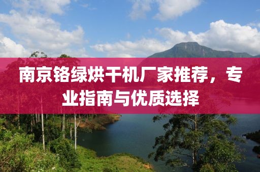 南京铬绿烘干机厂家推荐，专业指南与优质选择