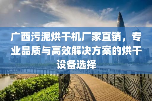 广西污泥烘干机厂家直销，专业品质与高效解决方案的烘干设备选择