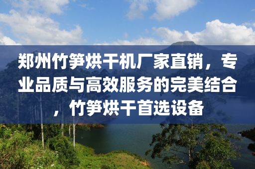 郑州竹笋烘干机厂家直销，专业品质与高效服务的完美结合，竹笋烘干首选设备