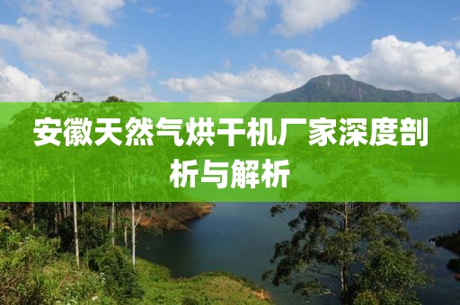 安徽天然气烘干机厂家深度剖析与解析