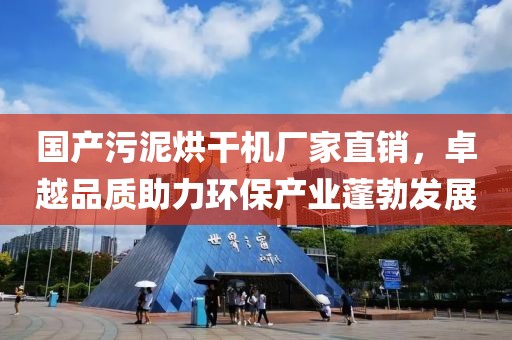 国产污泥烘干机厂家直销，卓越品质助力环保产业蓬勃发展