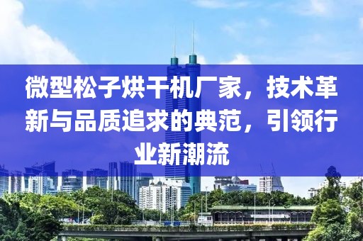 微型松子烘干机厂家，技术革新与品质追求的典范，引领行业新潮流