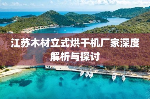 江苏木材立式烘干机厂家深度解析与探讨