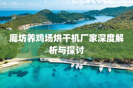 廊坊养鸡场烘干机厂家深度解析与探讨