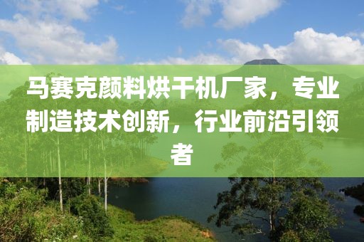 马赛克颜料烘干机厂家，专业制造技术创新，行业前沿引领者