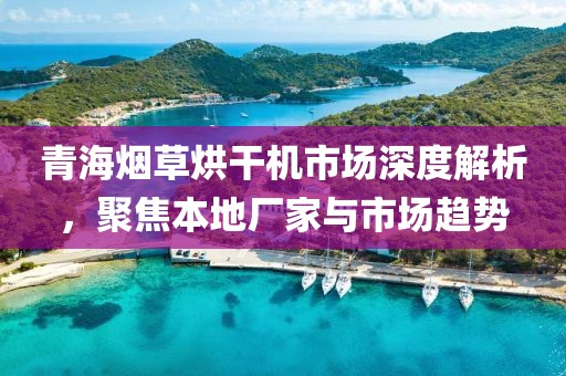 青海烟草烘干机市场深度解析，聚焦本地厂家与市场趋势