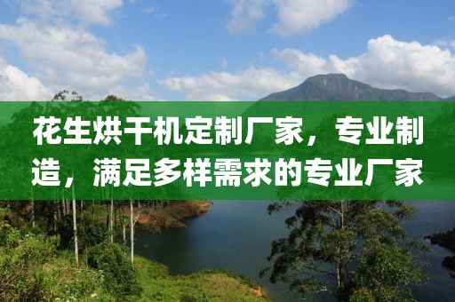 花生烘干机定制厂家，专业制造，满足多样需求的专业厂家