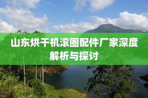 山东烘干机滚圈配件厂家深度解析与探讨