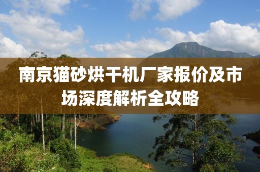 南京猫砂烘干机厂家报价及市场深度解析全攻略