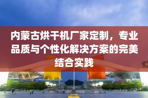 内蒙古烘干机厂家定制，专业品质与个性化解决方案的完美结合实践