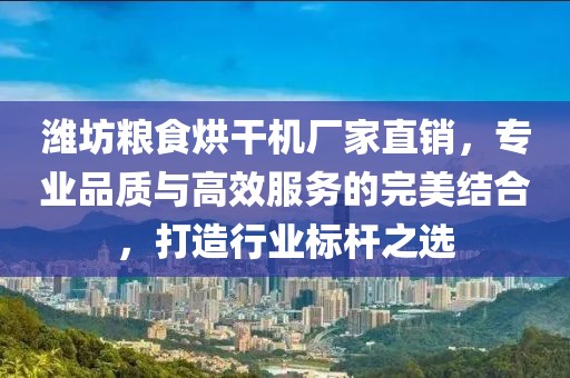 潍坊粮食烘干机厂家直销，专业品质与高效服务的完美结合，打造行业标杆之选