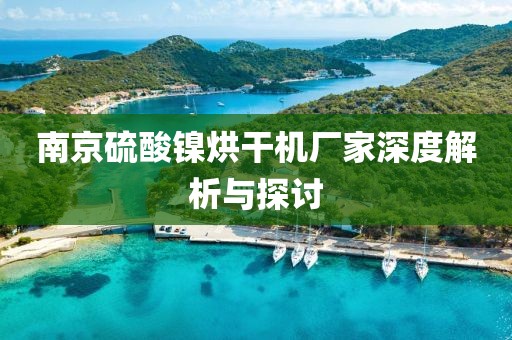 南京硫酸镍烘干机厂家深度解析与探讨