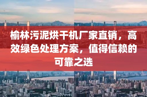 榆林污泥烘干机厂家直销，高效绿色处理方案，值得信赖的可靠之选