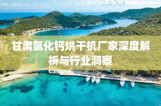 甘肃氯化钙烘干机厂家深度解析与行业洞察