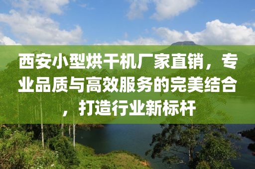 西安小型烘干机厂家直销，专业品质与高效服务的完美结合，打造行业新标杆