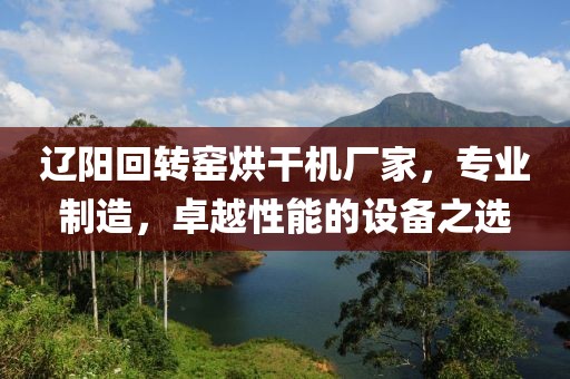 辽阳回转窑烘干机厂家，专业制造，卓越性能的设备之选