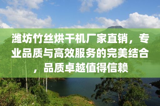 潍坊竹丝烘干机厂家直销，专业品质与高效服务的完美结合，品质卓越值得信赖