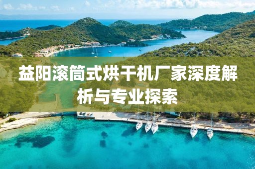 益阳滚筒式烘干机厂家深度解析与专业探索