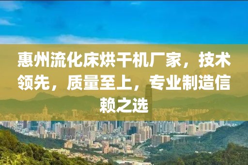 惠州流化床烘干机厂家，技术领先，质量至上，专业制造信赖之选