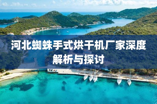 河北蜘蛛手式烘干机厂家深度解析与探讨