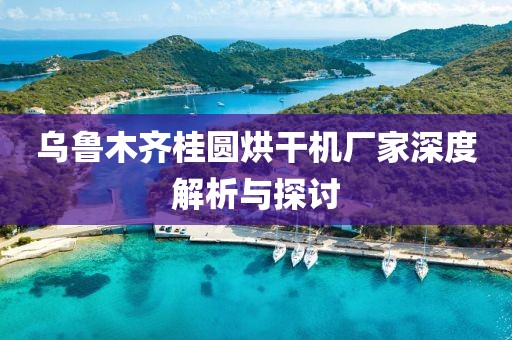 乌鲁木齐桂圆烘干机厂家深度解析与探讨