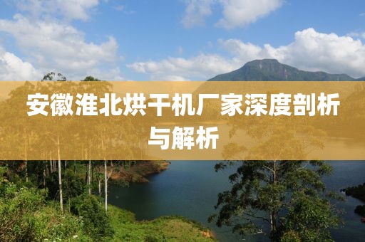 安徽淮北烘干机厂家深度剖析与解析