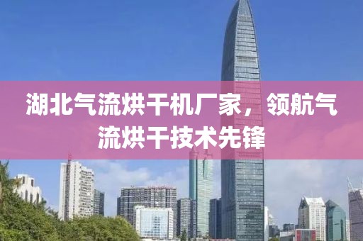 湖北气流烘干机厂家，领航气流烘干技术先锋