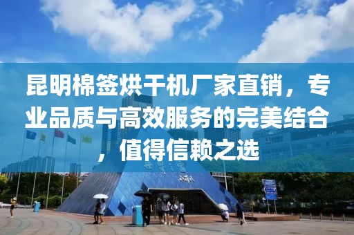 昆明棉签烘干机厂家直销，专业品质与高效服务的完美结合，值得信赖之选