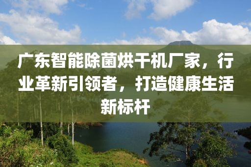 广东智能除菌烘干机厂家，行业革新引领者，打造健康生活新标杆