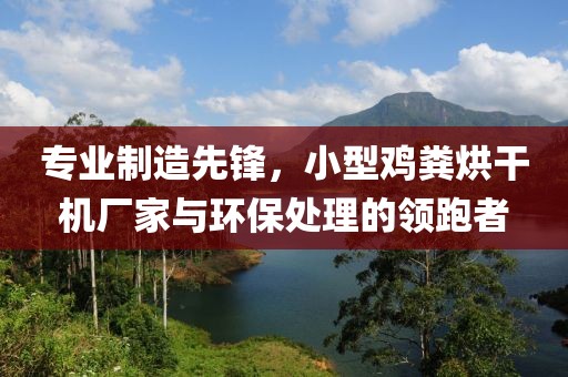 专业制造先锋，小型鸡粪烘干机厂家与环保处理的领跑者