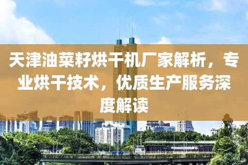 天津油菜籽烘干机厂家解析，专业烘干技术，优质生产服务深度解读