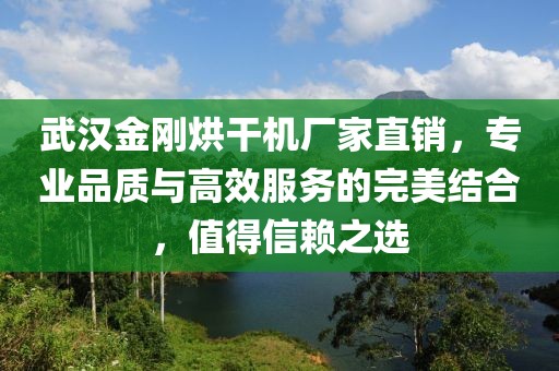 武汉金刚烘干机厂家直销，专业品质与高效服务的完美结合，值得信赖之选