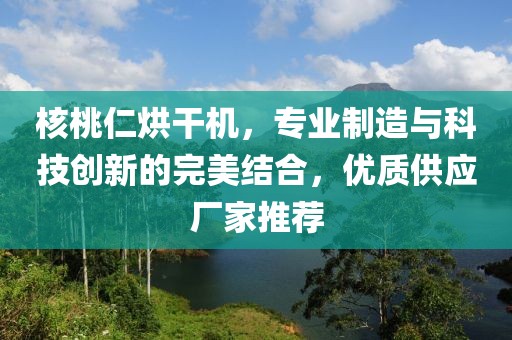 核桃仁烘干机，专业制造与科技创新的完美结合，优质供应厂家推荐