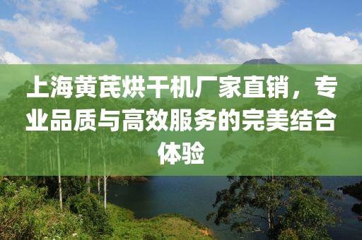 上海黄芪烘干机厂家直销，专业品质与高效服务的完美结合体验