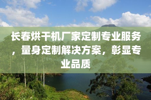 长春烘干机厂家定制专业服务，量身定制解决方案，彰显专业品质