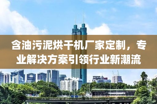 含油污泥烘干机厂家定制，专业解决方案引领行业新潮流