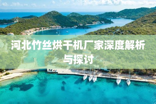 河北竹丝烘干机厂家深度解析与探讨