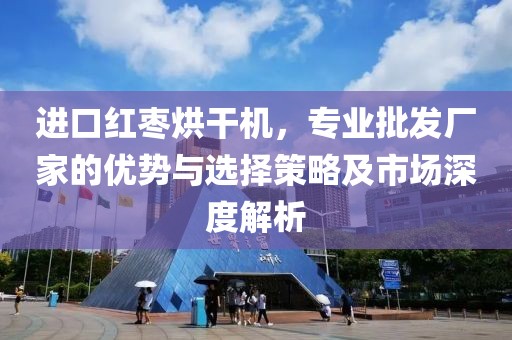 进口红枣烘干机，专业批发厂家的优势与选择策略及市场深度解析