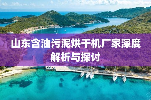 山东含油污泥烘干机厂家深度解析与探讨