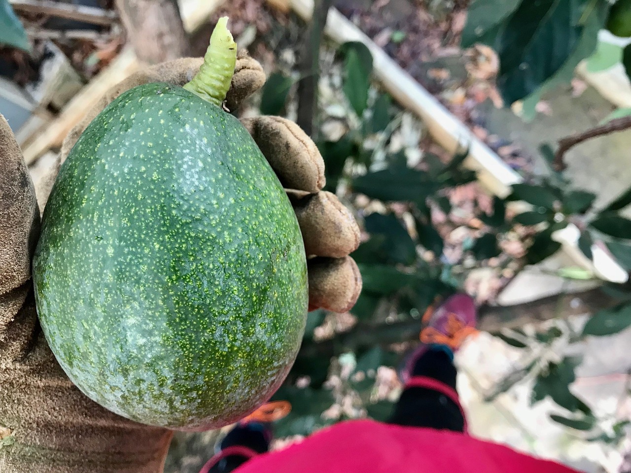 水果食品烘干机厂家，专业制造，卓越品质保障